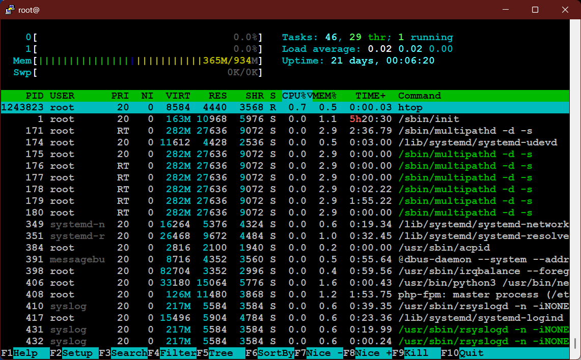 An htop session in a root shell over SSH on a managed Linux server