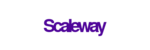 We manage Scaleway cloud servers