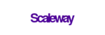 We manage Scaleway cloud servers